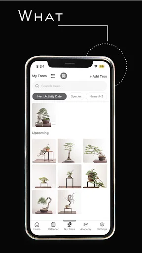 Download Mirai Mobile Terbaru – Panduan Bonsai Profesional - Screenshot 15